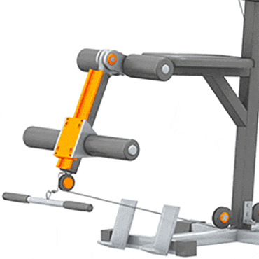 Leg curler ve extention