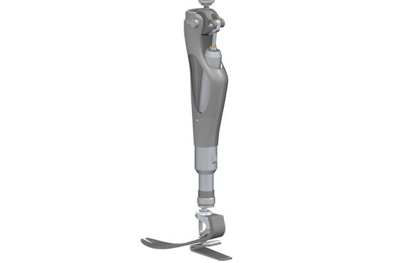 Protezler ve ortezler